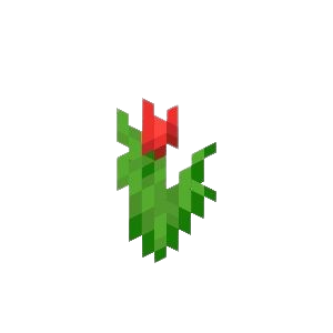 Kytka